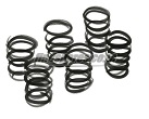 Choose Driveline Clutch Spring