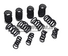 Choose Mini Valve Spring