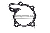 Choose Water Pump Gasket