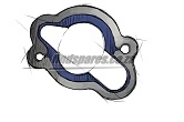 Choose Themostat Housing Gasket