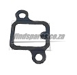 Choose Thermostat Gasket